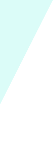 banner 1 shape color 1 - Doruk Halı Yıkama, Denizli Halı Yıkama, Stor Perde, Koltuk Yıkama